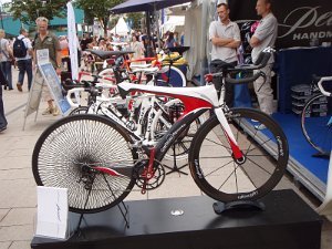 Triathlon Hamburg 9117